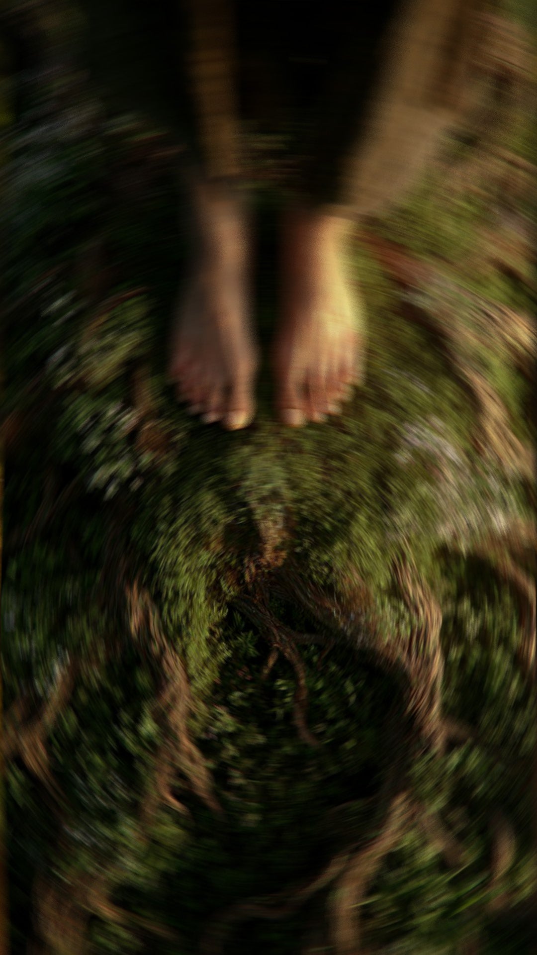 Volver a la Raíz — pies descalzos en la selva maya, imagen de apertura del retiro