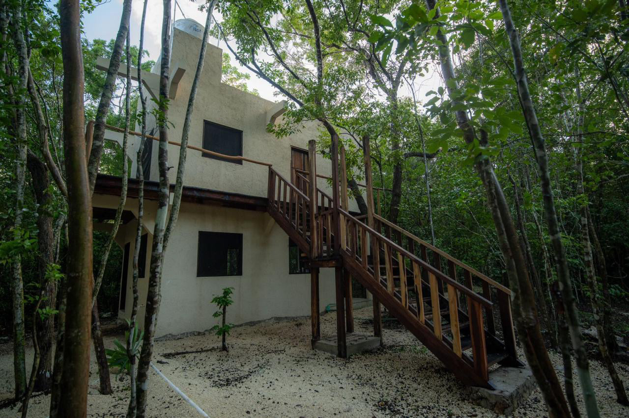 Xamadhi Retreat, santuario en la selva maya, México