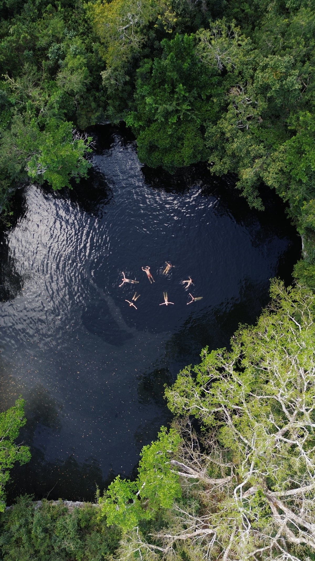 Grupo flotando en círculo en el cenote.