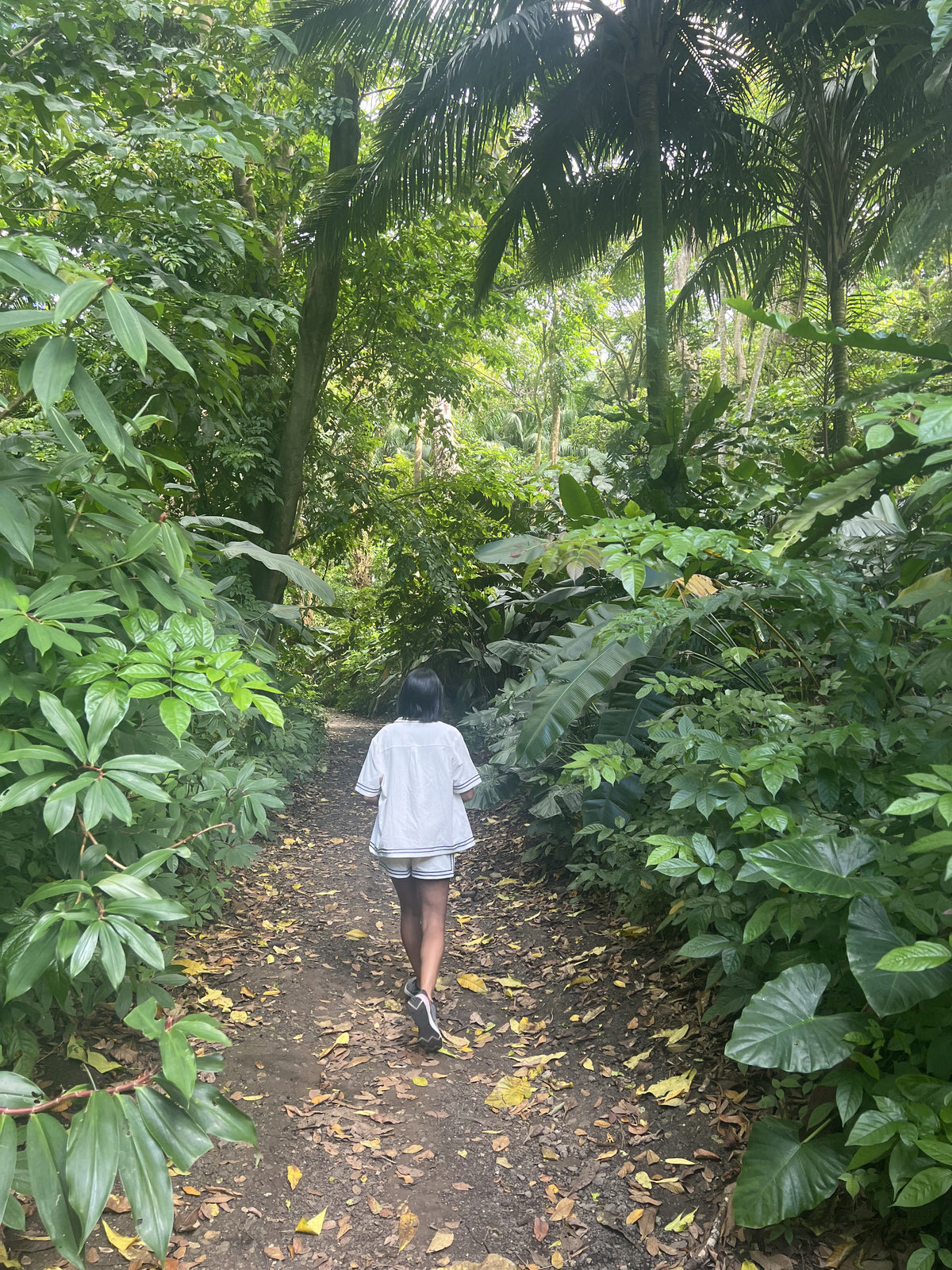 Persona caminando de espaldas por un sendero entre vegetación tropical.